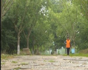 随州永兴村:背靠“大树”好致富旅游带富一村人 随州永兴村:背靠“大树”好致富旅游带富一村人