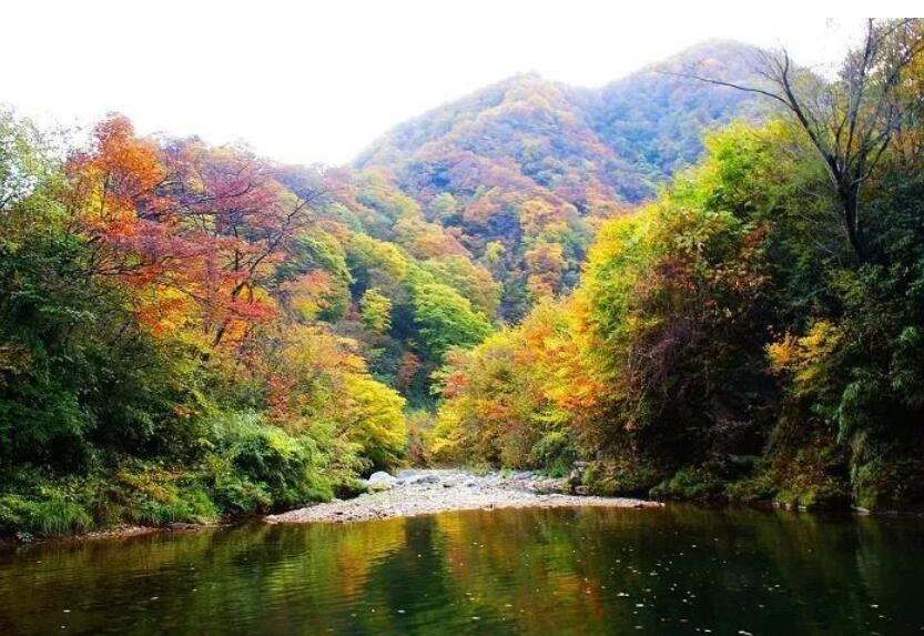 �������ξ���