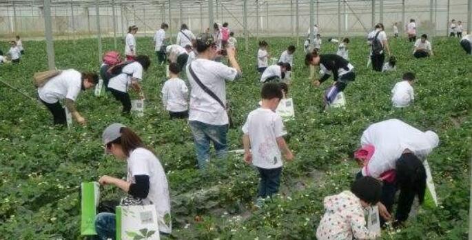 �������ξ���