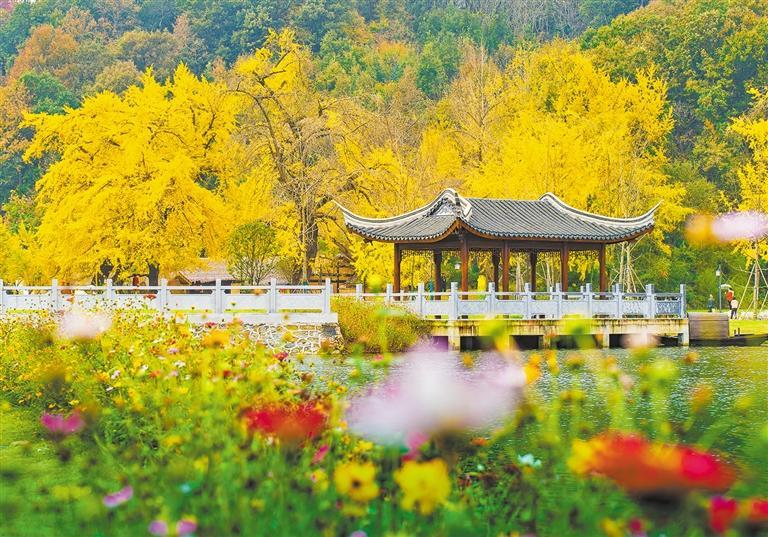 �����Ļ�